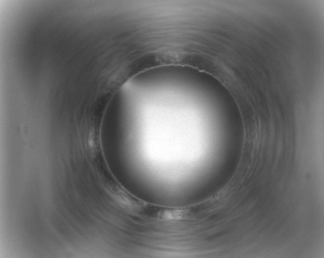 X0000066080134200603131147