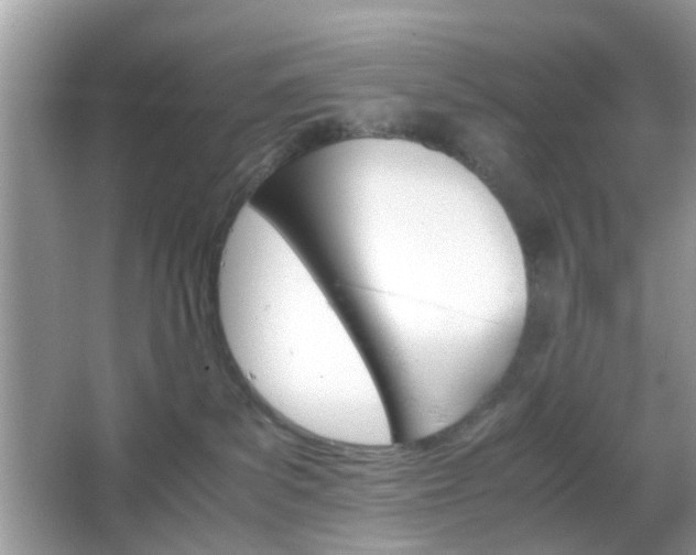 X0000066080139200603131147