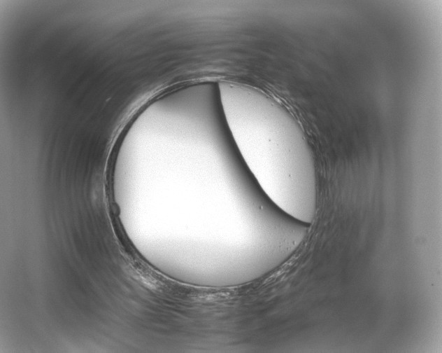 X0000066080147200603131147