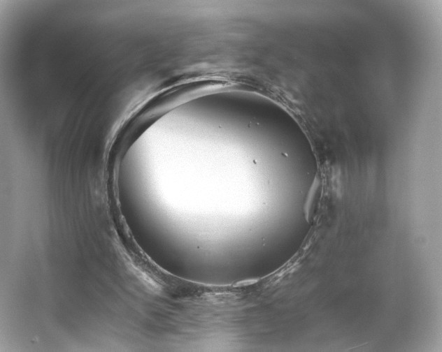 X0000066080150200603131147