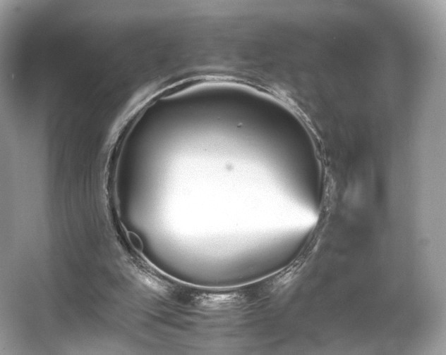 X0000066080151200603131147