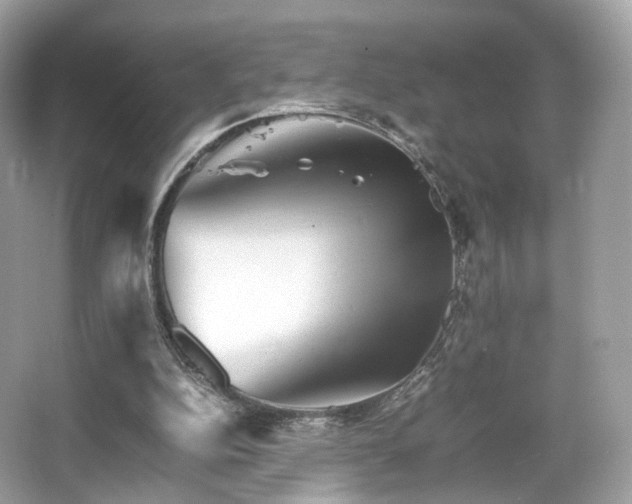 X0000066080152200603131147