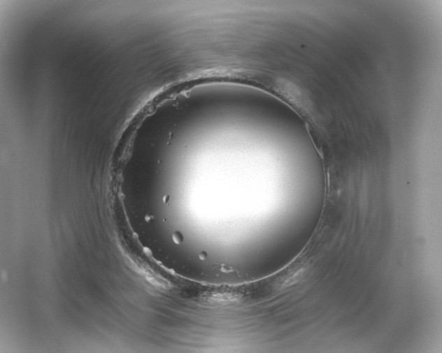 X0000066080156200603131147