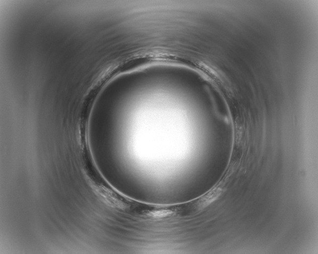 X0000066080158200603131147