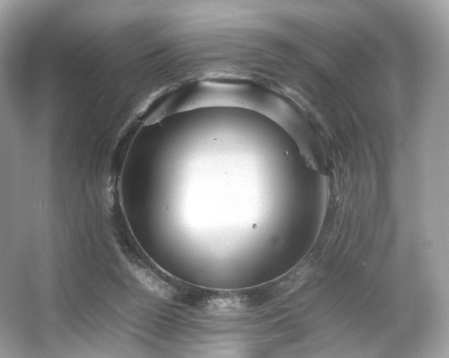 X0000066080160200603131147