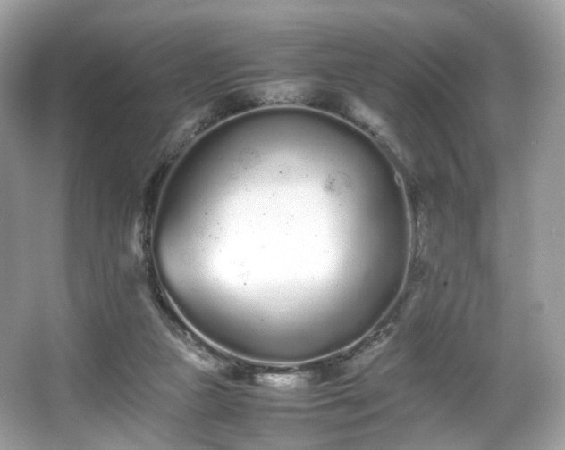 X0000066080161200603131147