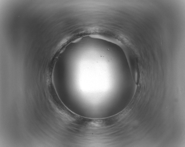 X0000066080164200603131147