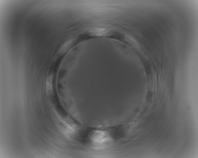 X0000066080167200603131147
