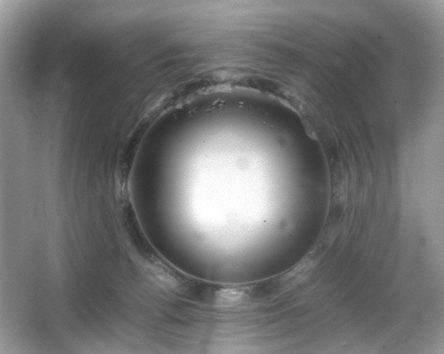 X0000066080176200603131147