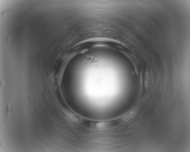 X0000066080184200603131147