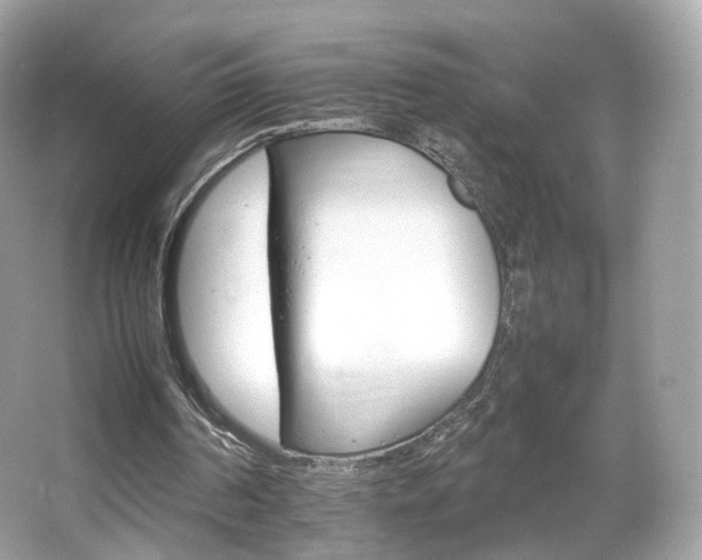 X0000066080194200603131146