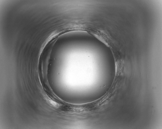 X0000066080195200603131146