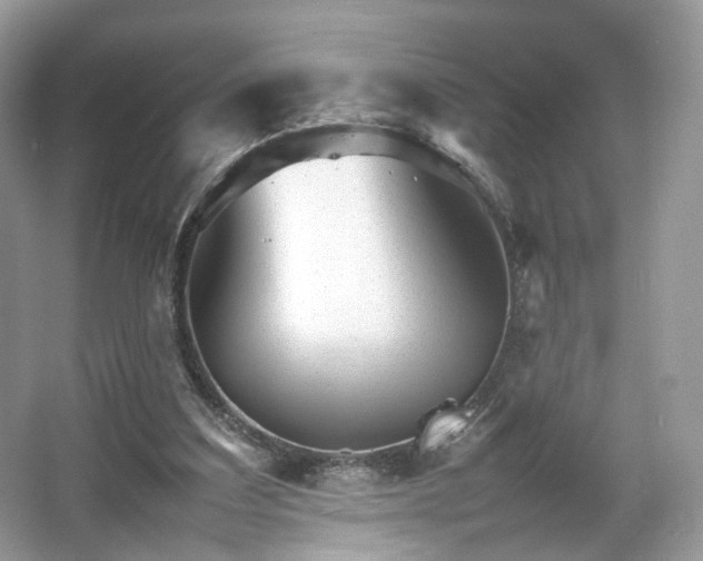 X0000066080203200603131146