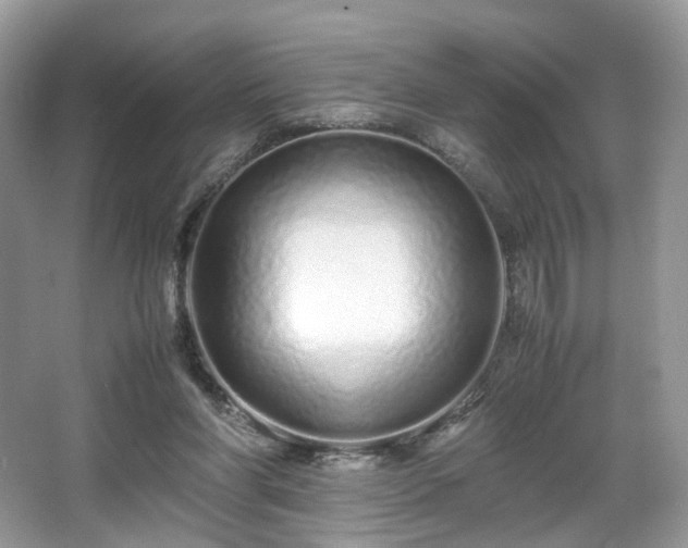 X0000066080206200603131146