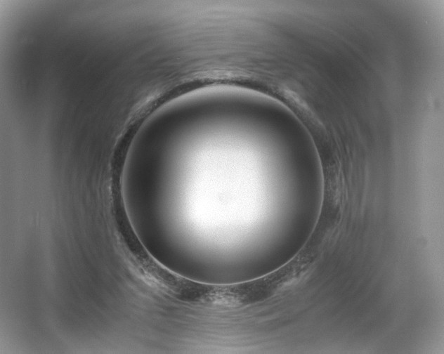 X0000066080207200603131146