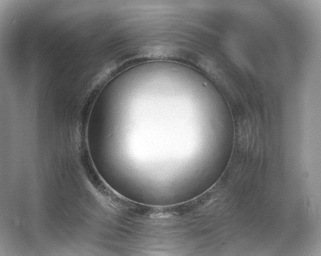 X0000066080208200603131146