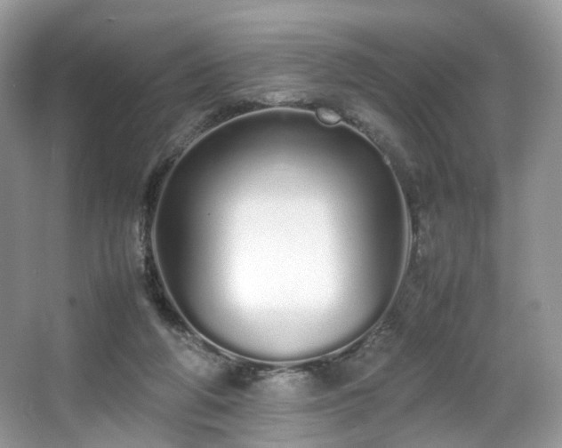 X0000066080210200603131146