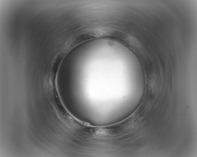 X0000066080214200603131146
