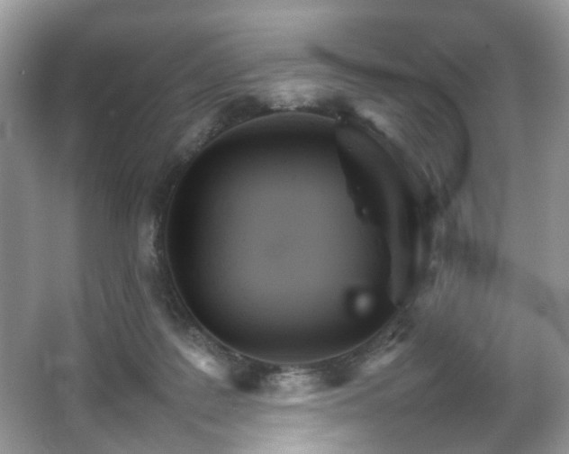 X0000066080219200603131146