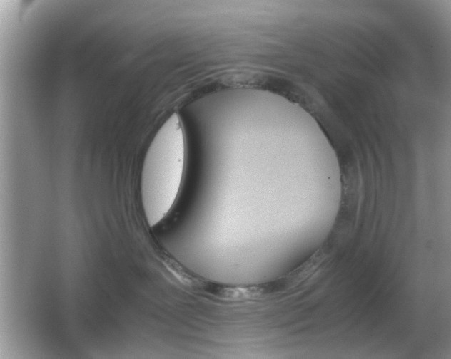 X0000066080239200603131146