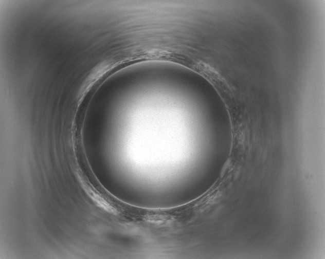 X0000066080242200603131145