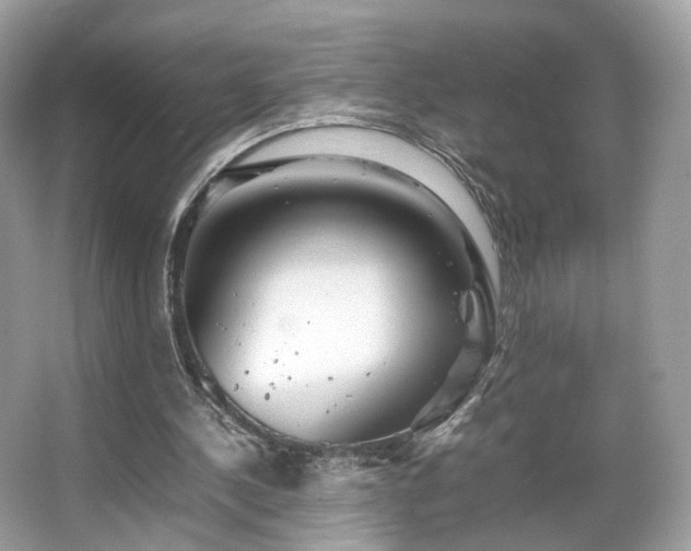 X0000066080244200603131145