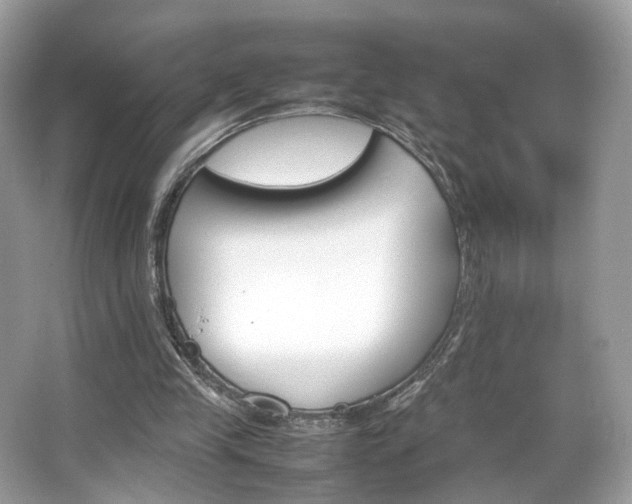 X0000066080245200603131145