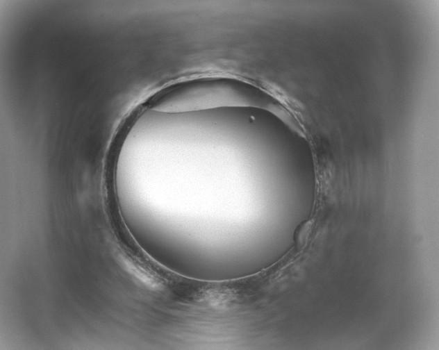 X0000066080248200603131145