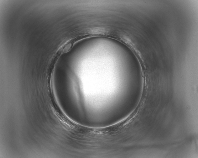 X0000066080249200603131145