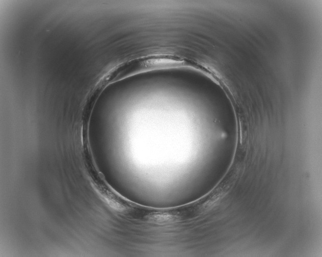 X0000066080253200603131145