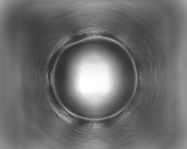 X0000066080254200603131145