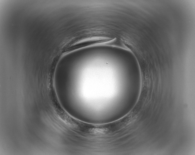 X0000066080255200603131145