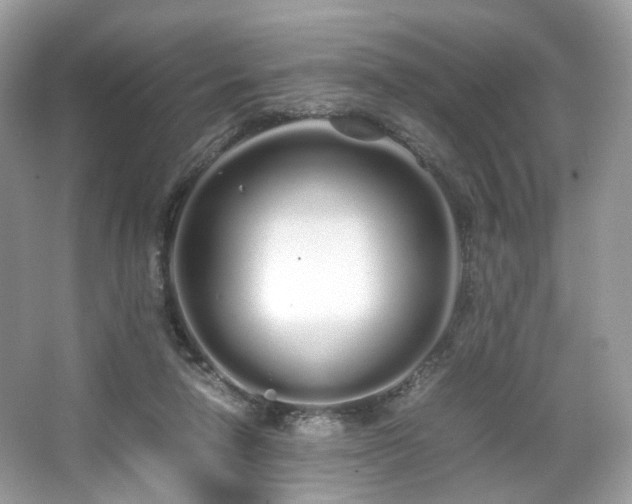 X0000066080258200603131145