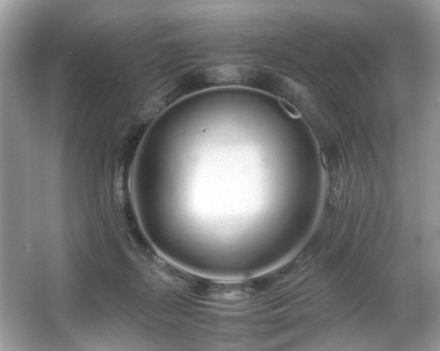 X0000066080267200603131145