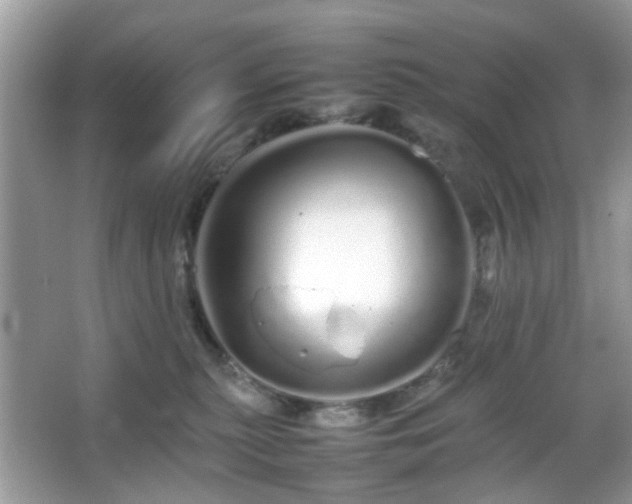 X0000066080279200603131146