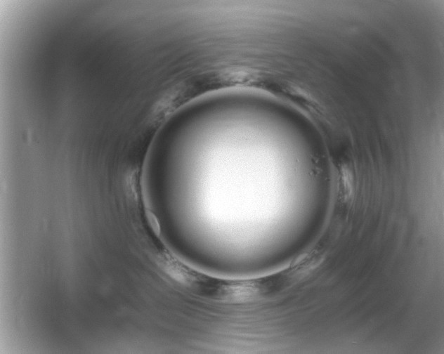 X0000066080286200603131146