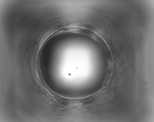 X0000066080289200603131145
