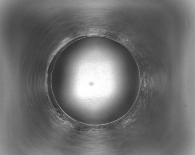 X0000066080292200603131145