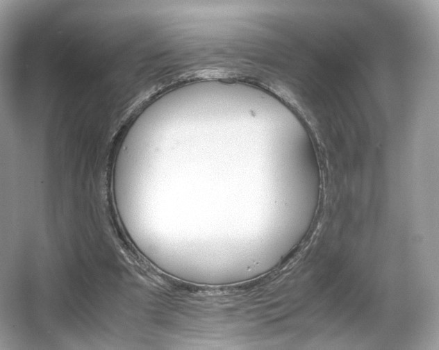 X0000066080297200603131145