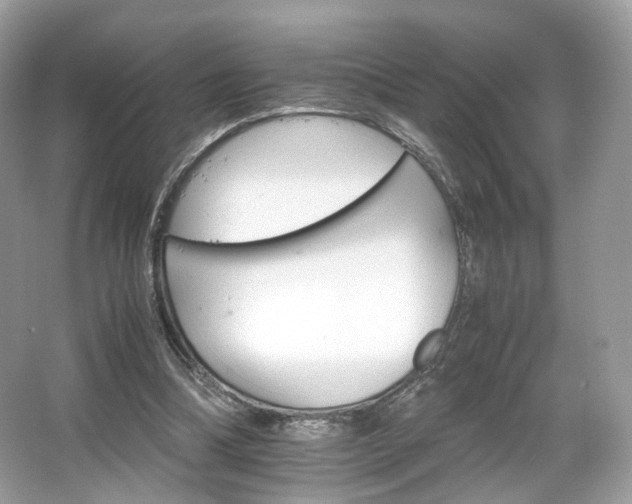 X0000066080298200603131145