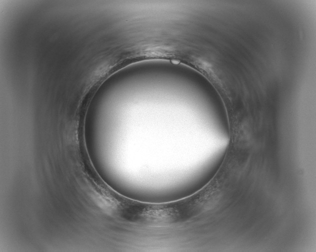X0000066080299200603131145