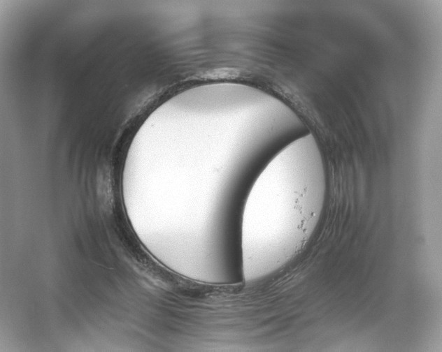X0000066080300200603131145