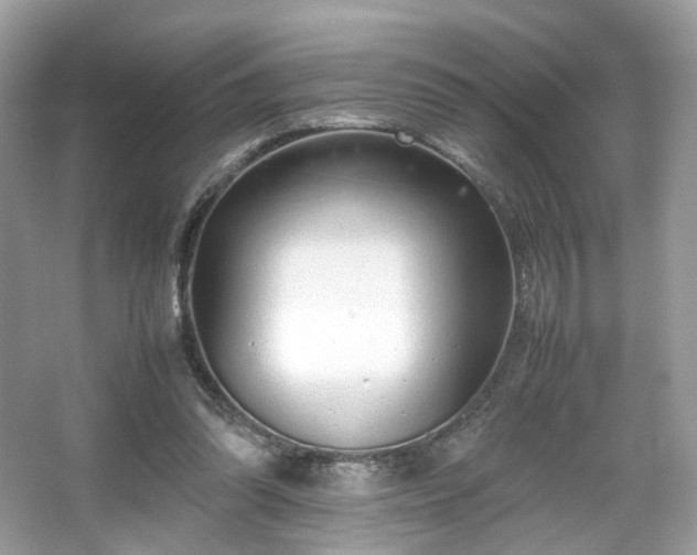 X0000066080302200603131145