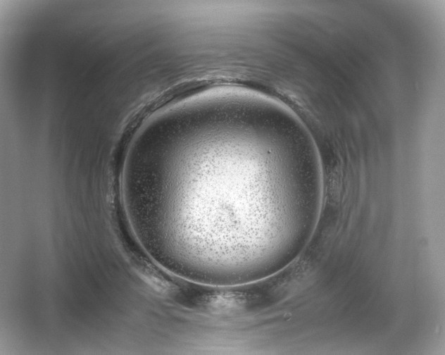 X0000066080303200603131145