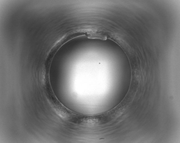 X0000066080304200603131145