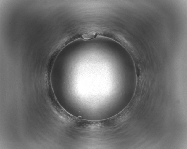 X0000066080306200603131145