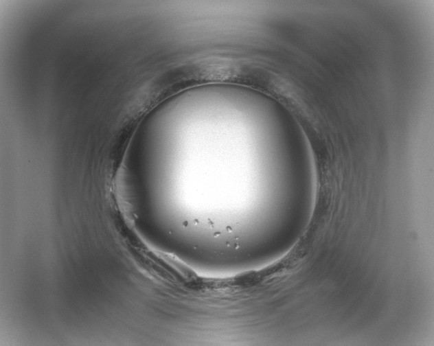 X0000066080307200603131145