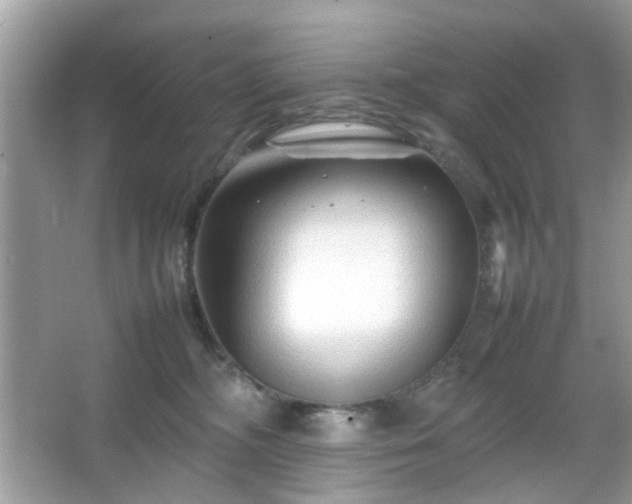 X0000066080326200603131144