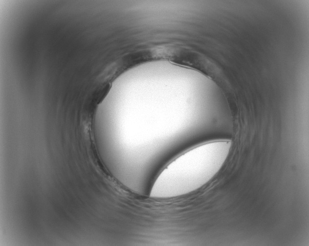 X0000066080329200603131144