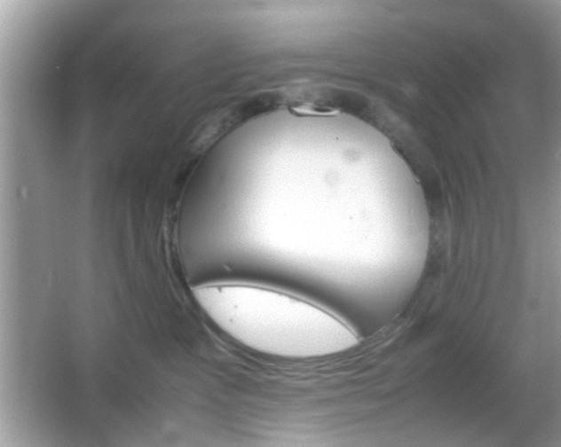 X0000066080333200603131144